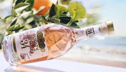 Purity Mediterranean Citrus Flavored Vodka 700 ml 30.0% 0.7L, Spirits