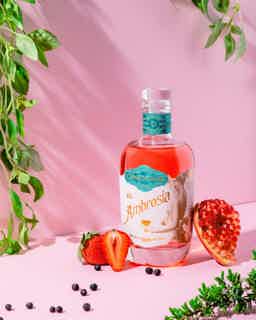 GinDome Ambrosia Gin 45.0% 0.5L, Spirits