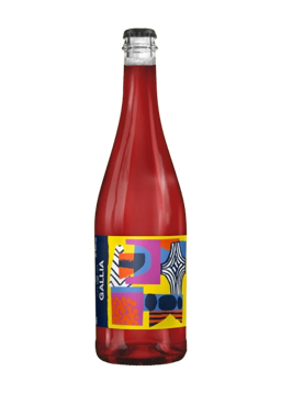 Gamay Dire Gamay 9.3% 0.75L, Beer