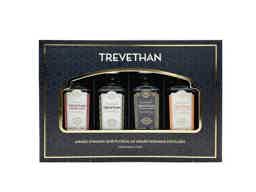 TREVETHAN MINI GIN GIFT SET 43.0% 0.2L, Spirits