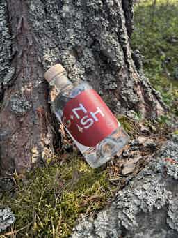 GNISH 16.3% 0.5L, Spirits