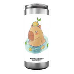Brewski Kalamansifeber IPA 0,33l 6.5% 0.33L, Beer