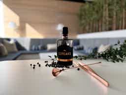 32PEAKS Dry Gin aus Liechtenstein 43.0% 0.5L, Spirits