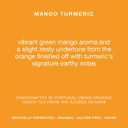 Mango Turmeric 6% ABV - 6 Pack: Mango Turmeric - Single Can