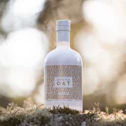 Arctic Blue Oat 17% 500ml (with Giftbox) 17.0% 0.5L, Spirits
