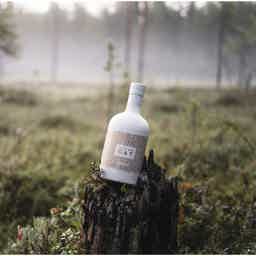 Arctic Blue Oat 17% 500ml (with Giftbox) 17.0% 0.5L, Spirits