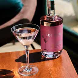 SEEKERS LYCHEE MARTINI 17.5% 0.7L, Spirits