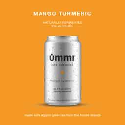Mango Turmeric 6% ABV - 6 Pack: Mango Turmeric - Single Can