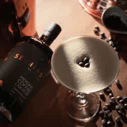SEEKERS MEKONG COFFEE LIQUEUR 25.0% 0.7L, Spirits