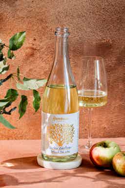 Garden Elderflower 6 Pack: Garden Elderflower