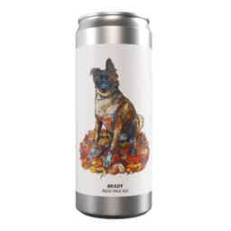 Brewski Brady IPA 0,33l 6.0% 0.33L, Beer