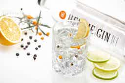 Herbie Organic Gin 37.5% 0.7L, Spirits