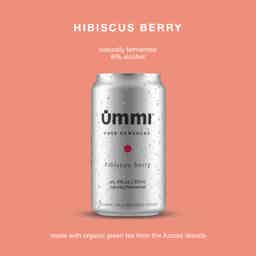 Hibiscus Berry 6% ABV - 6 Pack: Hibiscus Berry - Single can