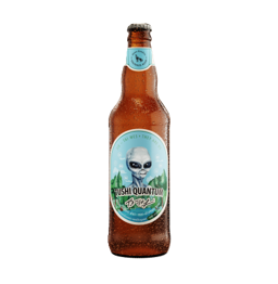 Vikings Beer - Non-alcoholic beer - Tushi Quantum 0.0% 0.5L, Non alcohol