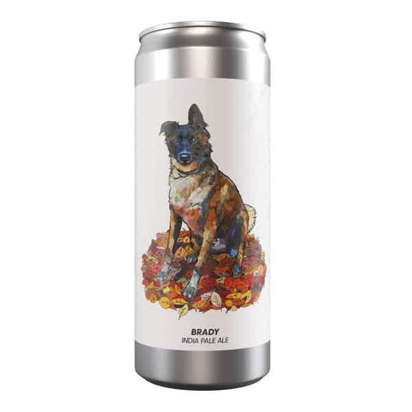 Brewski Brady IPA 0,33l 6.0% 0.33L, Beer