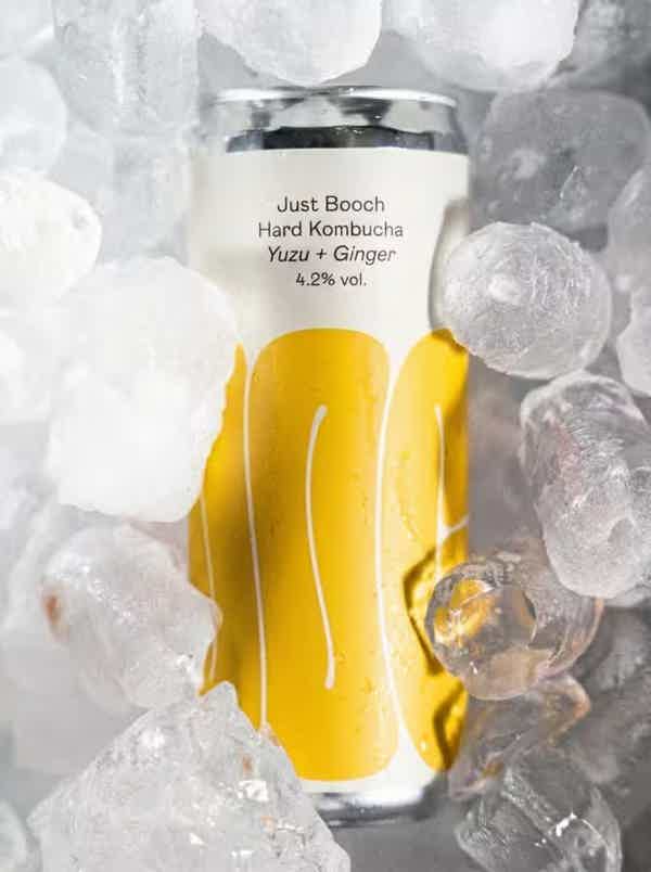 Yuzu + Ginger | 24 pack: Just Booch Yuzu + Ginger