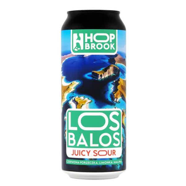 Hop Brook Los Balos Juicy Sour 0,5l 4.2% 0.5L, Beer