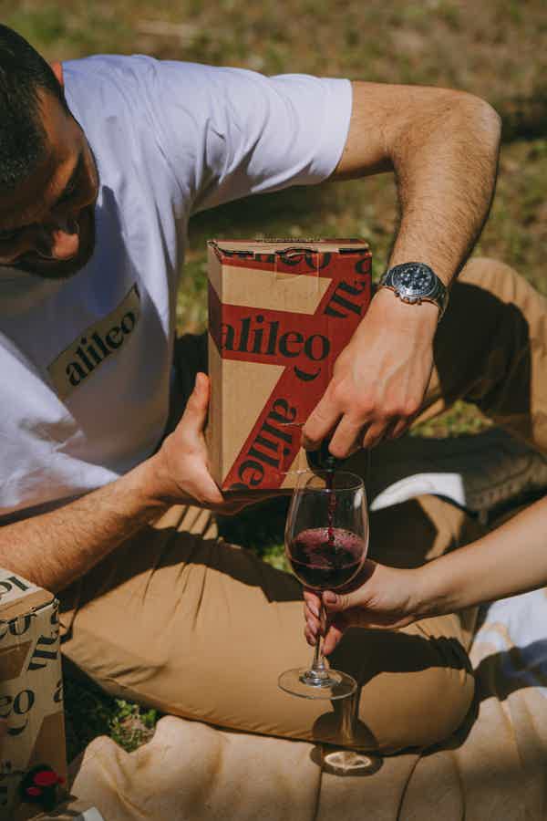 Syrah 1.5 Liter Bag in Box Wine 13.5% 1.5L, Wine