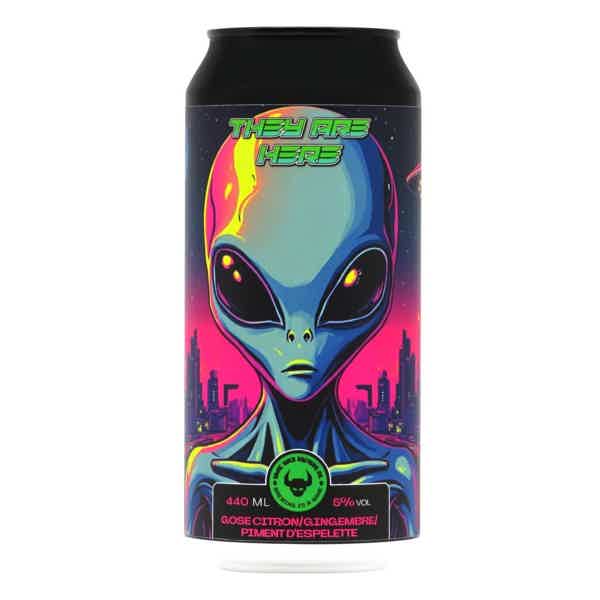 Game Over They Are Here Gose 0,44l 5.0% 0.44L, Beer