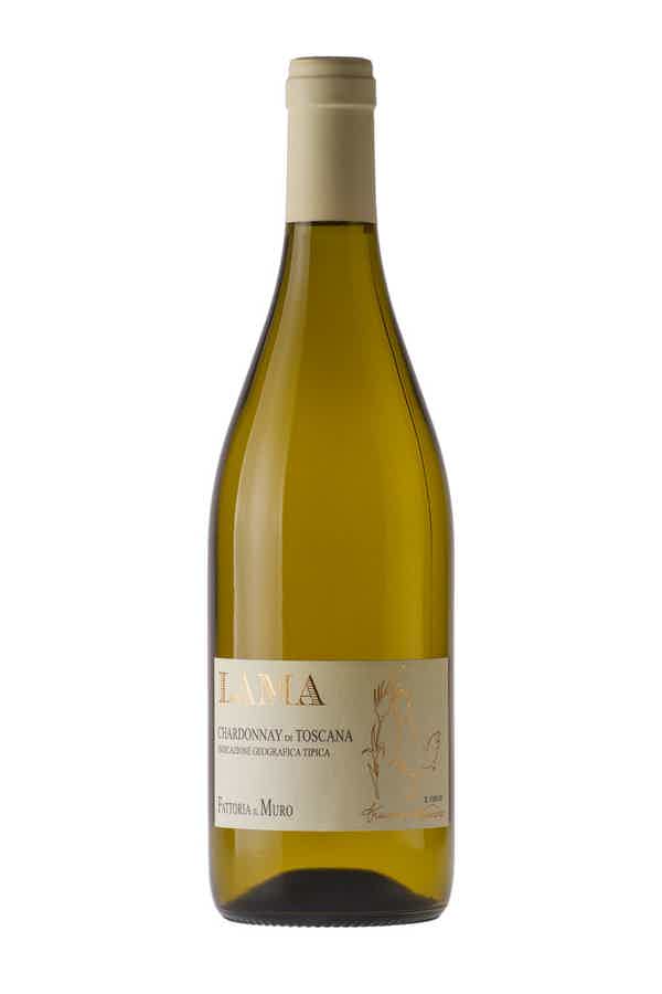 Lama Chardonnay 13.0% 0.75L, Wine