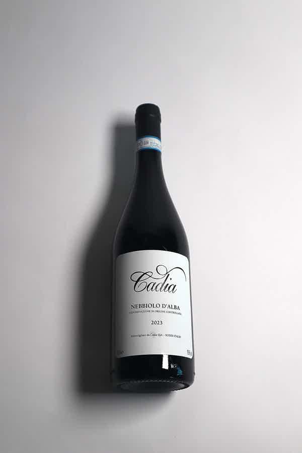 Cadia Nebbiolo d'Alba DOC 15.0% 0.75L, Wine