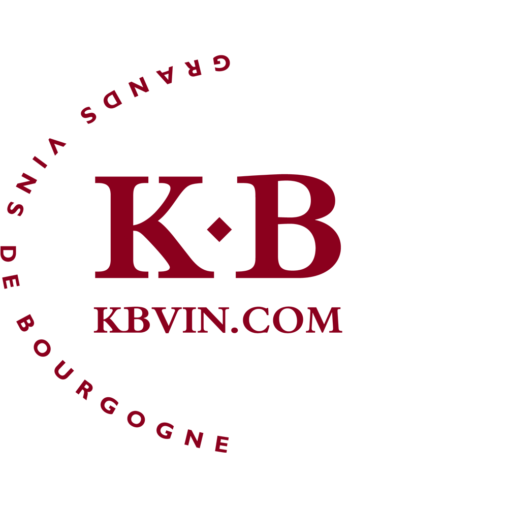 KB VIN