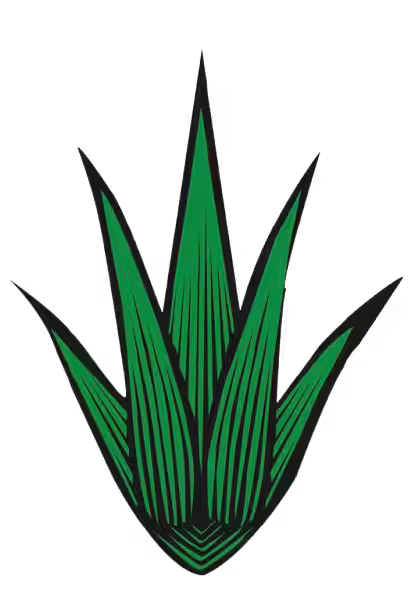 Artesanal | Destilados de Agave
