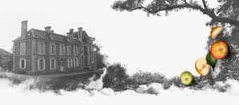 SCEA DOMAINE DE LA FLAGUERIE